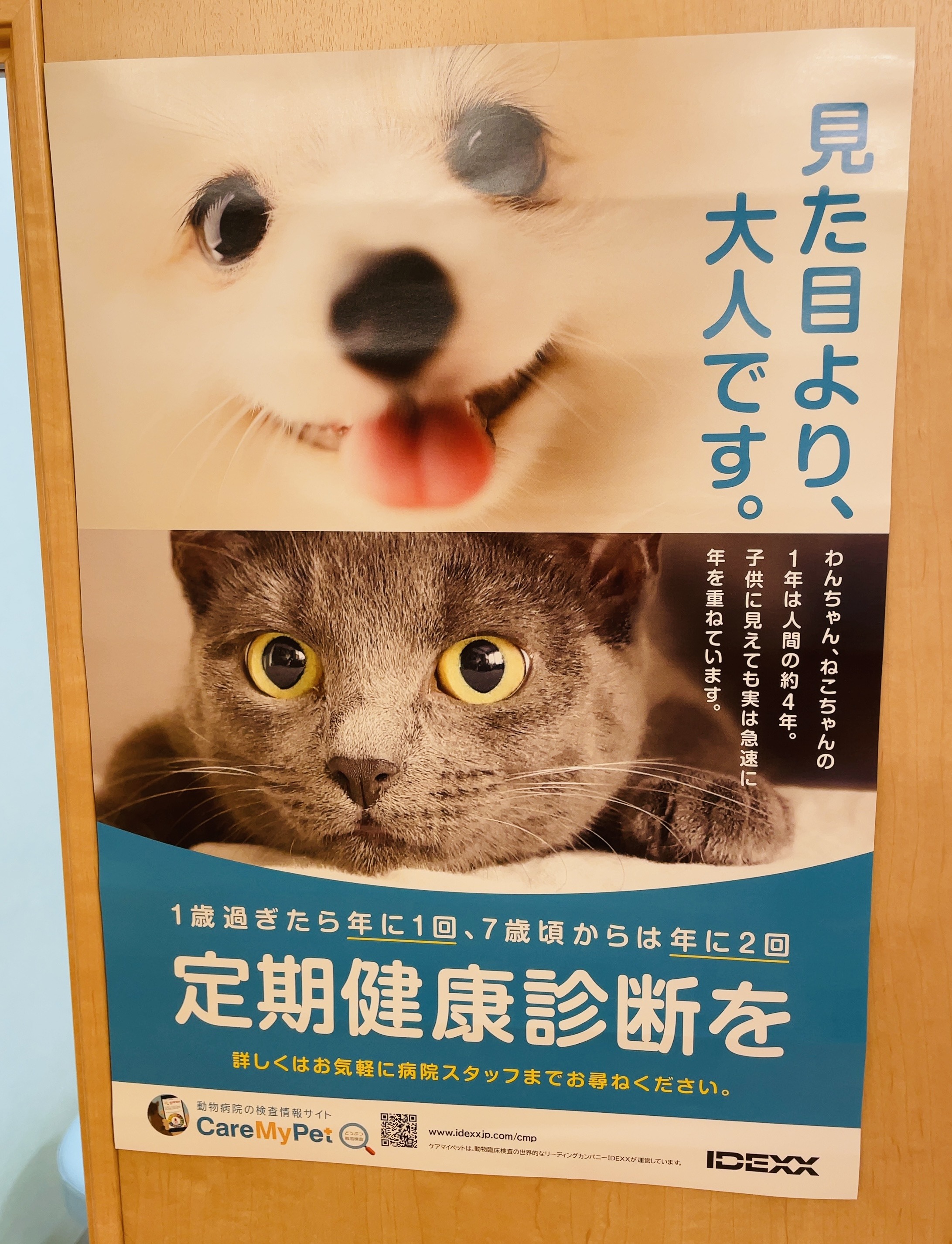 ȞNff
