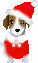 わんこ